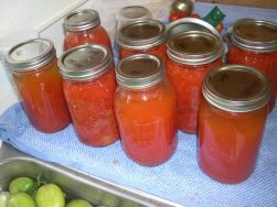 Drain out liquid from a quart of stewed tomatoes for past